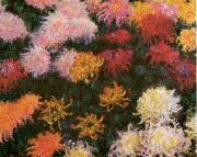 Claude Monet Chrysanthemums  sd France oil painting reproduction